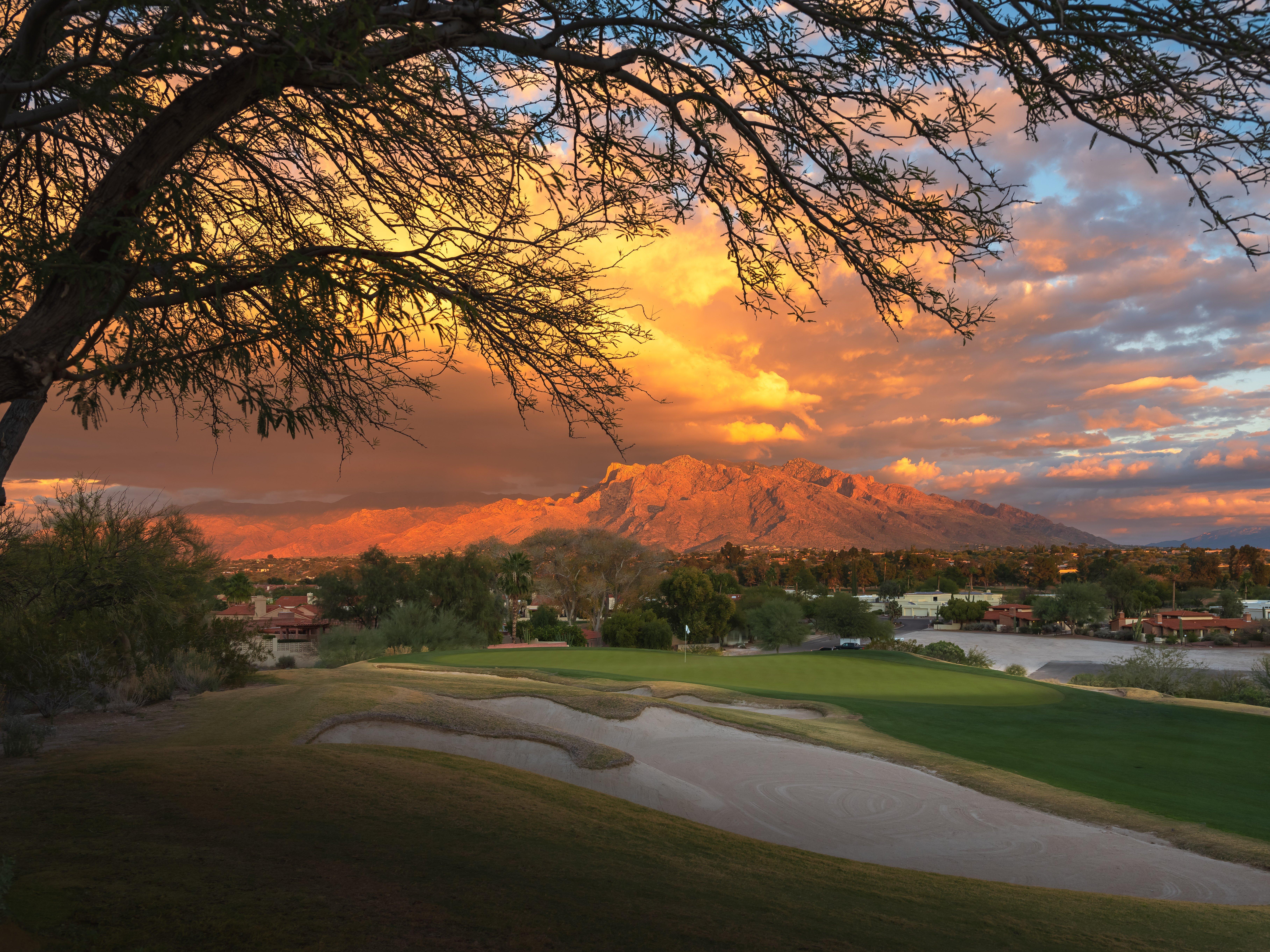 Omni Tucson National &