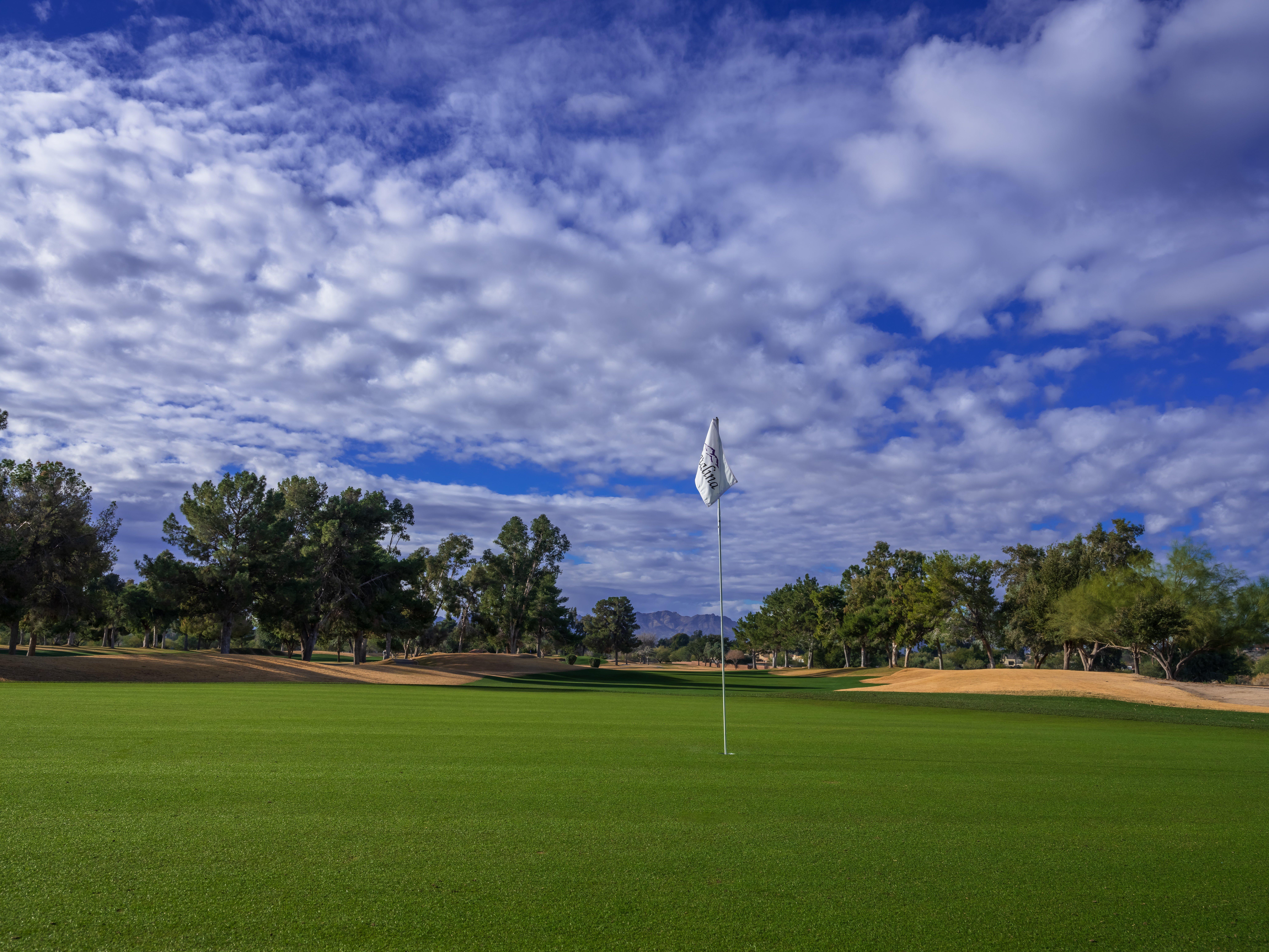Omni Tucson National & 4*