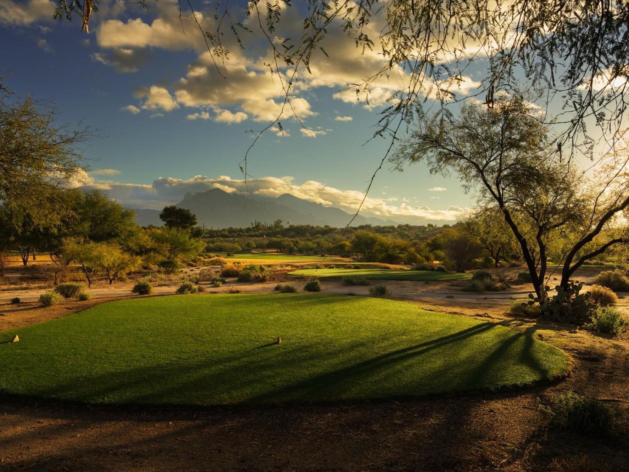 Omni Tucson National & 4*